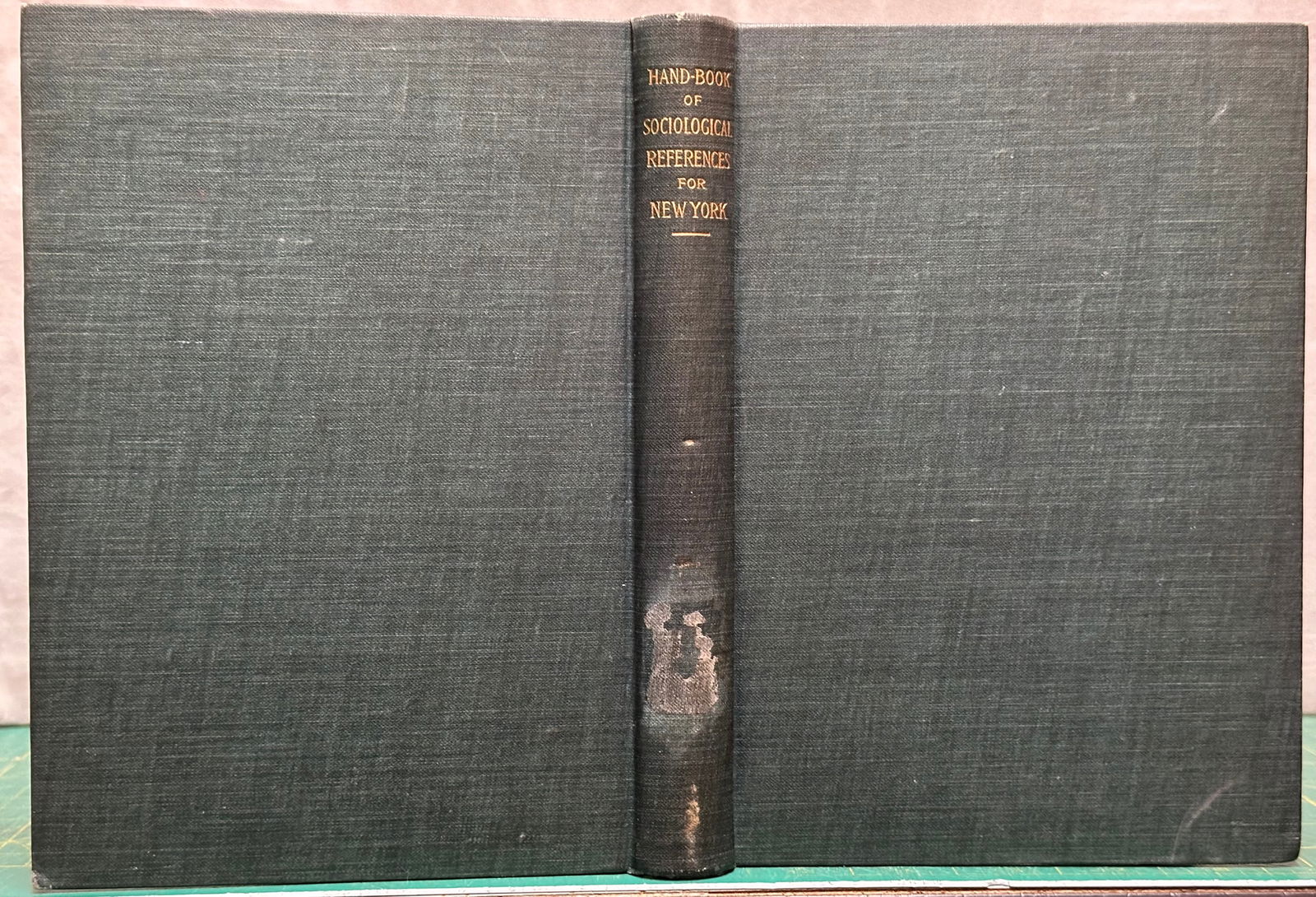 Sociology SOCIOLOGICAL INFORMATION NEW YORK City Vigilance 1894 (1 of 8)