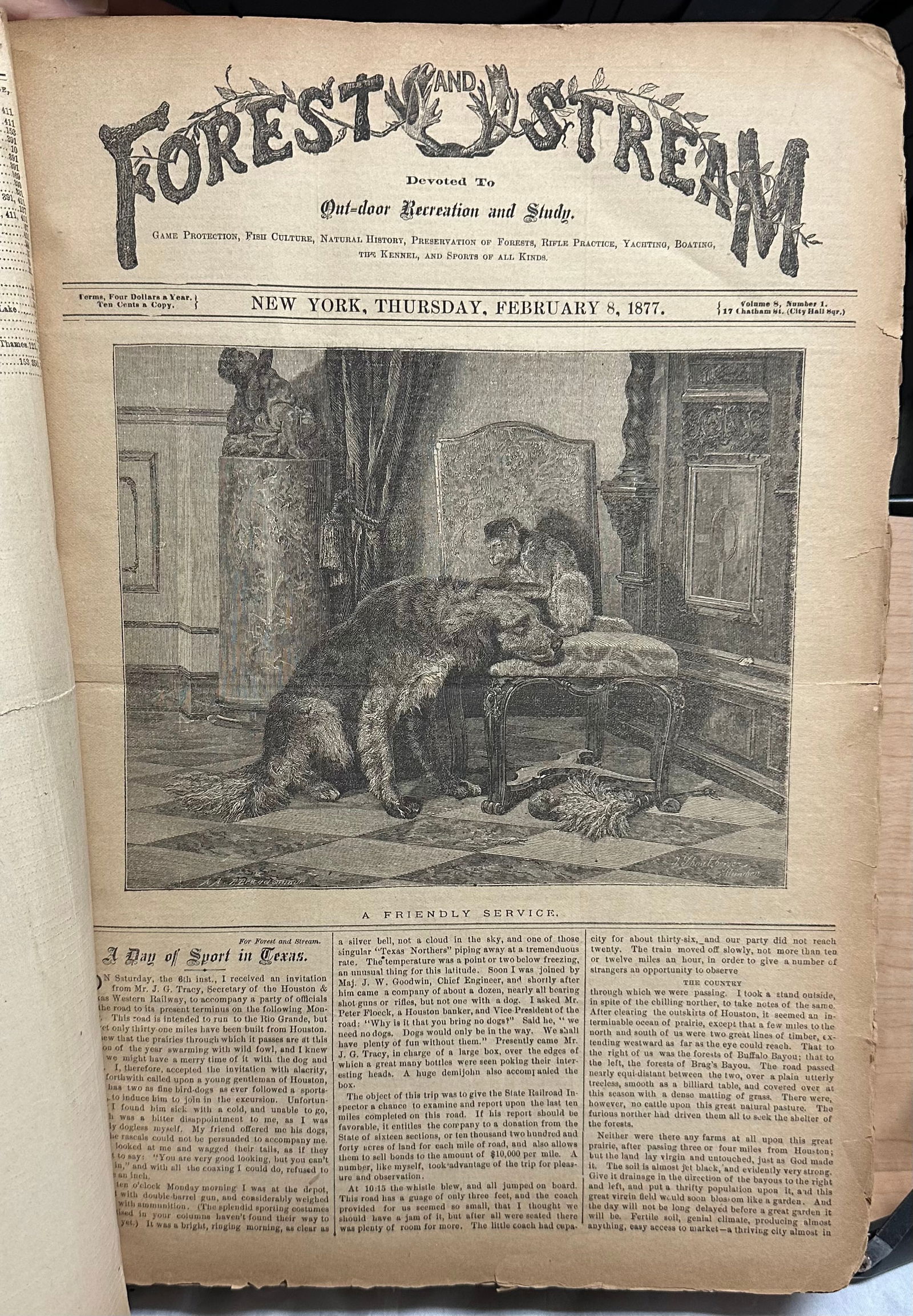 Sporting FOREST & STREAM 1877-8 magazine vols 8&9 (1 of 2)