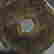 item-121349967=4