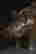 item-121349989=7
