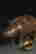 item-121349989=8