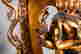 item-131214539=6