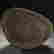 item-131214711=10