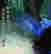 item-131214820=2