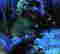 item-131214820=3