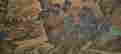 item-137241981=4
