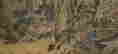 item-137241981=5