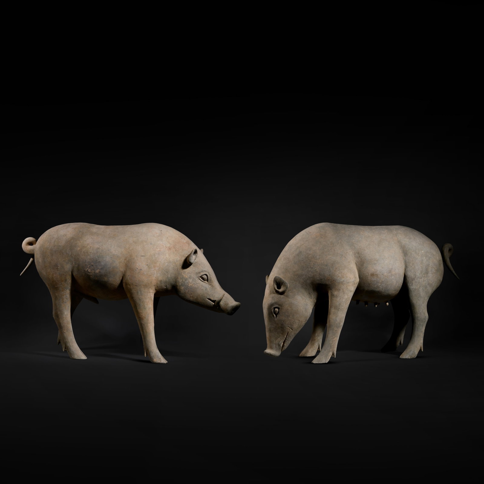 Pre-Ming Dynasty Pair of Pottery Pigs: H. 41cm.W.66cm.
