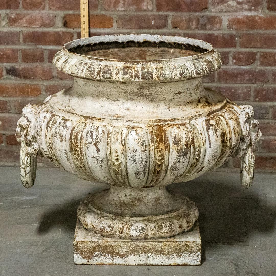 19th Century French Cast Iron Lion Motif Planter (1 of 10)