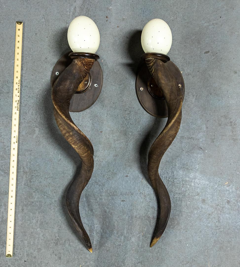 Pair of Kudu Animal Horn Sconces with Ostrich Egg Shades (1 of 8)