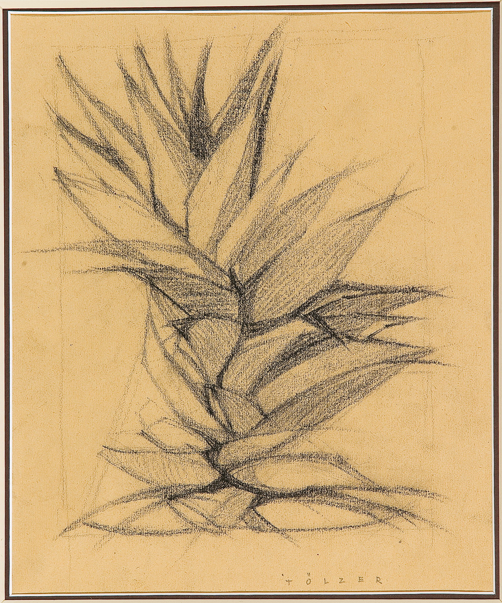 PETER TOELZER* (Vienna 1910 - 1997 Vienna): PETER TOELZER* (Vienna 1910 - 1997 Vienna) Plant chalk/paper, 25,5 x 21,5 cm signed Toelzer ESTIMATE € 500 - 1000 STARTING PRICE € 500 Austrian arti