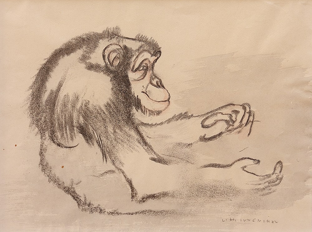 LUDWIG HEINRICH JUNGNICKEL* (Wunsiedel 1881 - 1965 Vienna): LUDWIG HEINRICH JUNGNICKEL* (Wunsiedel 1881 - 1965 Vienna)Monkeycharcoal and watercolor/paper 23,5 x 35 cmsigned Ludwig Heinrich JungnickelESTIMATE € 800 - 1600