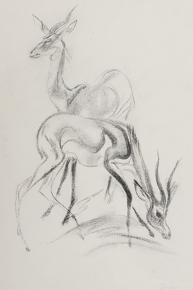 LUDWIG HEINRICH JUNGNICKEL* ( Wunsiedel 1881 - 1965 Vienna ): LUDWIG HEINRICH JUNGNICKEL* ( Wunsiedel 1881 - 1965 Vienna )Gazellescharcoal/paper 48 x 33 cmstamp L. H. Jungnickelverso estate stamp L. H. JungnickelSCHÄTZPREIS /