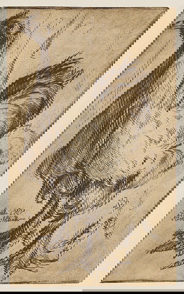 RICHARD MUELLER ( Tschirnitz an der Eger 1874 - 1954 Dresden ): RICHARD MÜLLER ( Tschirnitz an der Eger 1874 - 1954 Dresden )Chicken, 1901etching/paper 43,4 x 26 cmsigned and dated in plate Rich. Müller, 2. Mai 1901SCHÄTZPREIS / EST