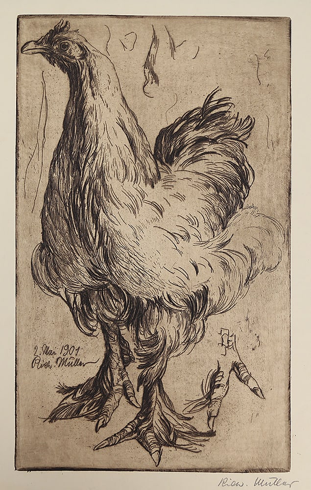 RICHARD MÜLLER (Cernýs 1874 - 1954 Dresden): RICHARD MÜLLER (Cernýs 1874 - 1954 Dresden)Chicken, 1901etching/paper 45 x 27 cmsigned Rich. Müller, dated 2. Mai 1901signed and dated in printSCHÄTZPREIS / ESTIMA