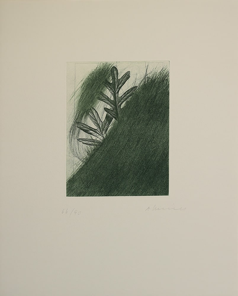 ARNULF RAINER* (born 1929 in Baden): ARNULF RAINER* (born 1929 in Baden)Oakleafetching/paper 36 x 25 cmsigned A Rainernumbered 66/90, from the portfolio For Joseph Beuys, Munich/ New York, Edition Schellmann/ Galerie Bernd Klüse