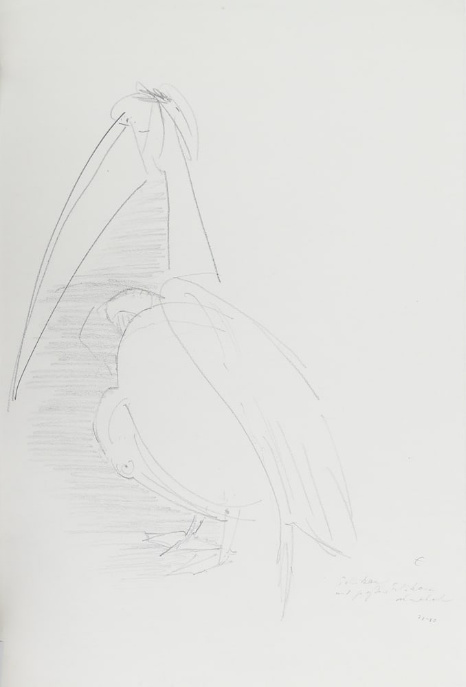 Ursula Einseleit* (Wenzken 1911 - 1997 Mainz): Ursula Einseleit* (Wenzken 1911 - 1997 Mainz)Pelicanspencil/paper 40 x 30 cmSCHÄTZPREIS / ESTIMATE °€ 40 - 60STARTPREIS / STARTING PRICE °€ 40