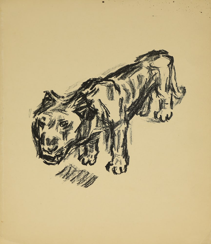 René Beeh (1887 - 1922): René Beeh (1887 - 1922)Lionlithograph/paper 32,3 x 24,4 cmSCHÄTZPREIS / ESTIMATE °€ 20 - 40STARTPREIS / STARTING PRICE °€ 20German Expres