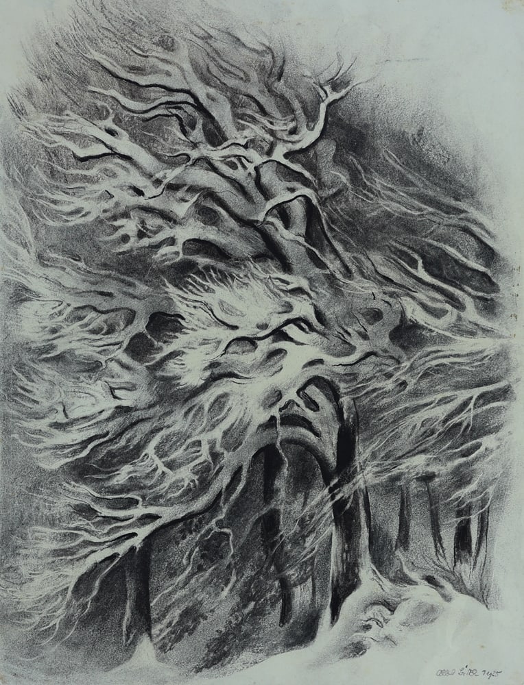 Albert Birkle* (Berlin 1900 - 1986 Salzburg): Albert Birkle* (Berlin 1900 - 1986 Salzburg)Forest in winter II, 1925charcoal/paper 31 x 48 cmsigned A. Birkle, dated 1925SCHÄTZPREIS / ESTIMATE € 1000 - 2000STARTPREIS / STARTING PRICE €