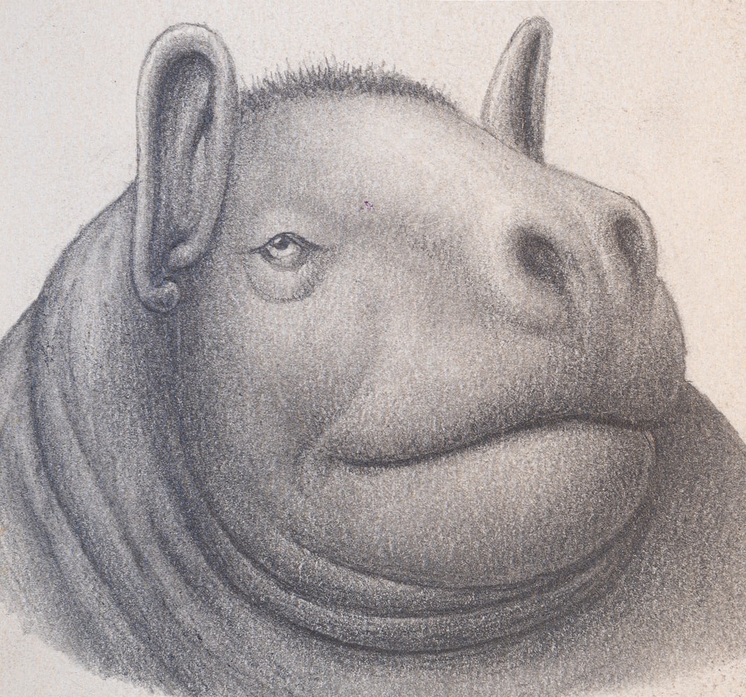 Leopold Löwy (Vienna 1871 - 1940 Vienna) (1 of 1)