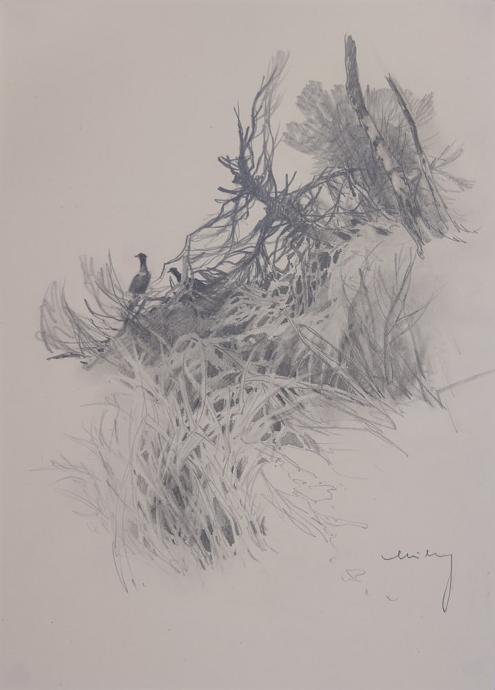 Oskar Mulley (Klagenfurt 1891 - 1949 Garmisch-Partenkirchen): Oskar Mulley (Klagenfurt 1891 - 1949 Garmisch-Partenkirchen)Weathered tree, 1940pencil and color pencil/paper 29,5 x 21 cmsigned Mulley, dated 40SCHÄTZPREIS / ESTIMATE