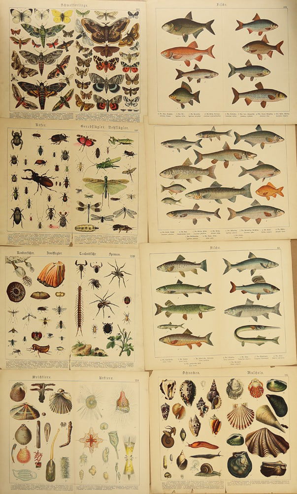 Unknown Artist (Biographical data unknown) - 10