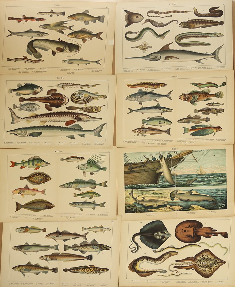 Unknown Artist (Biographical data unknown) - 11