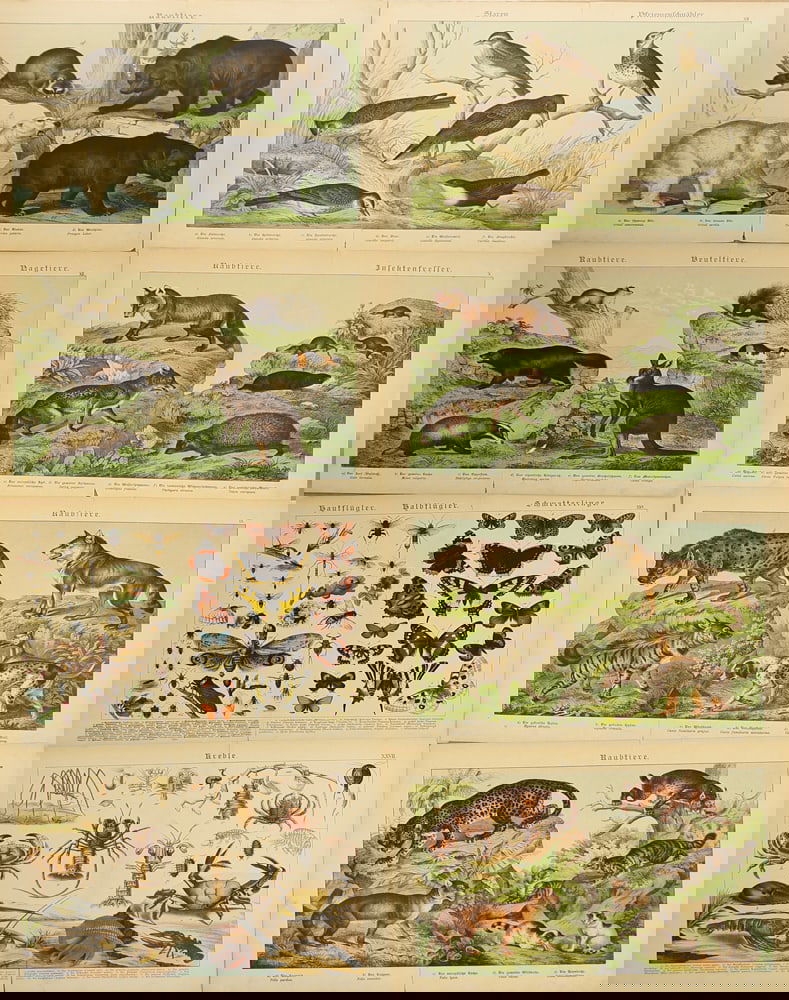 Unknown Artist (Biographical data unknown) - 2