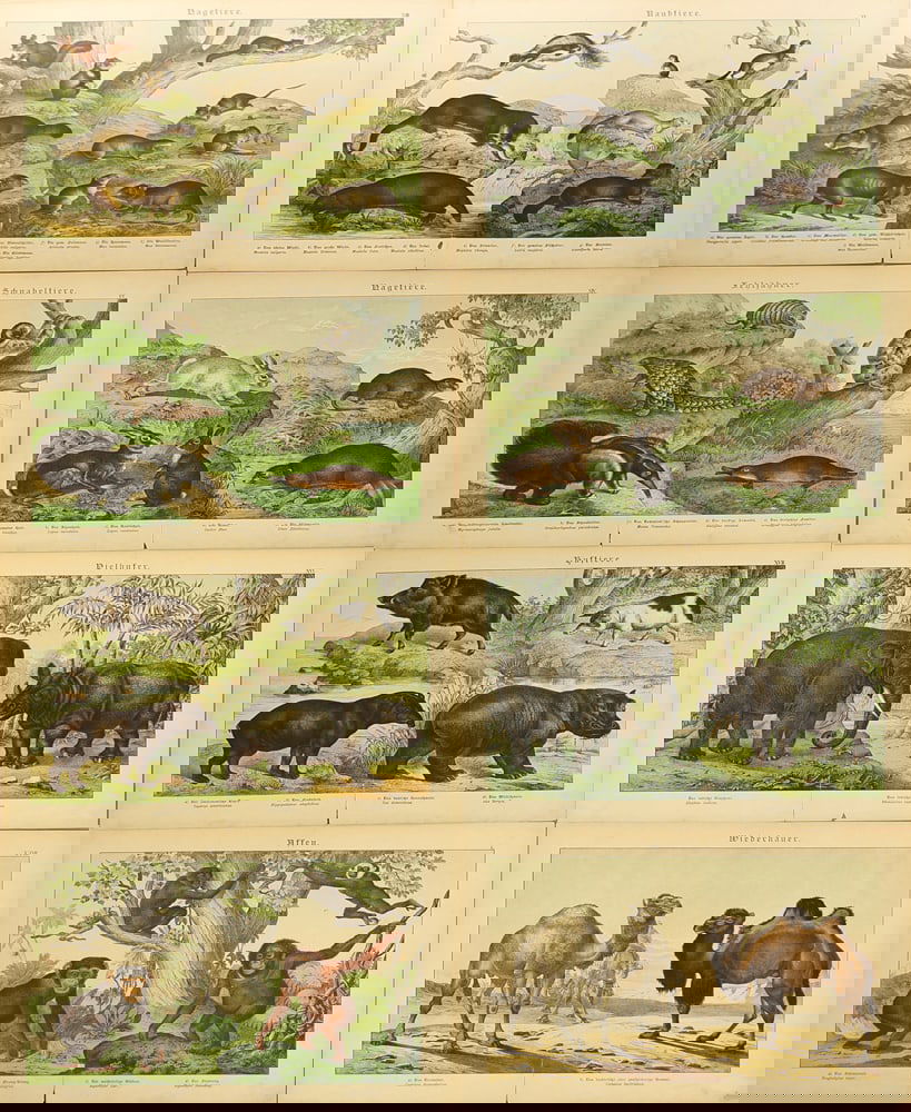 Unknown Artist (Biographical data unknown) - 3