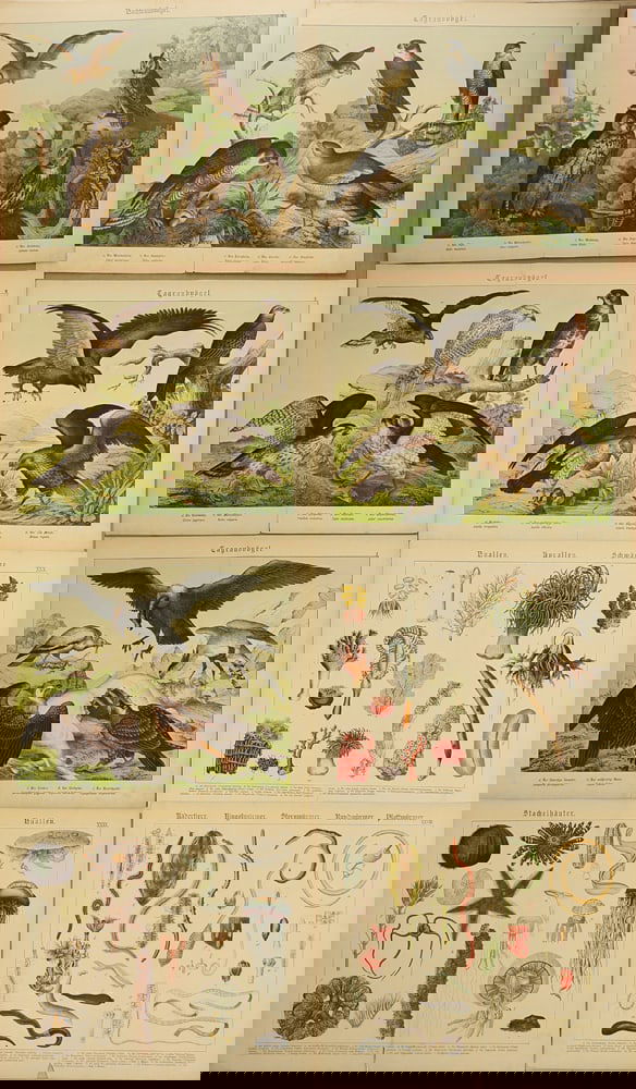 Unknown Artist (Biographical data unknown) - 5