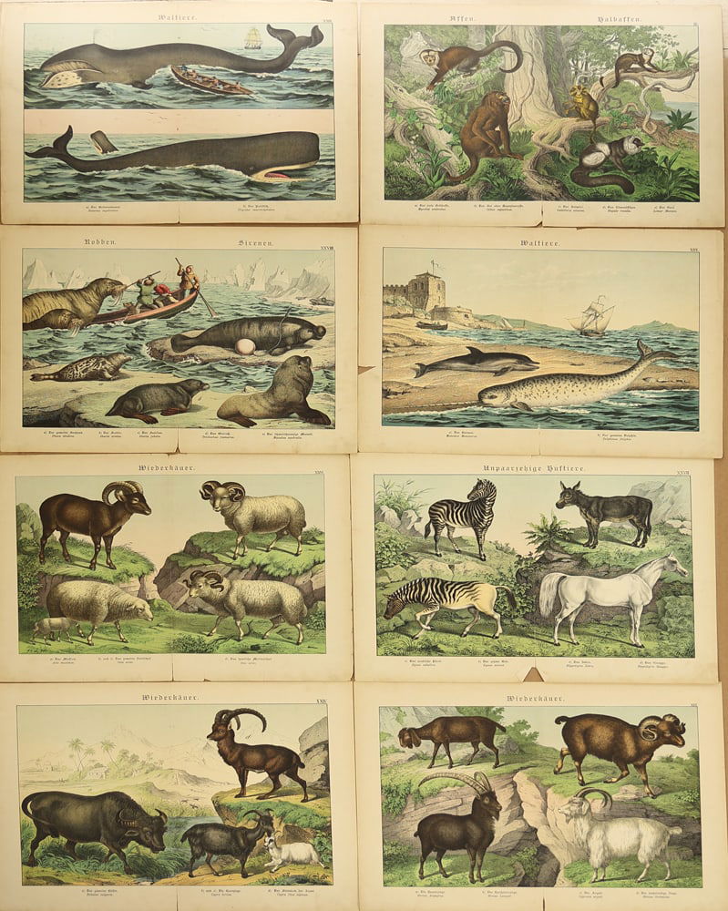 Unknown Artist (Biographical data unknown) - 6