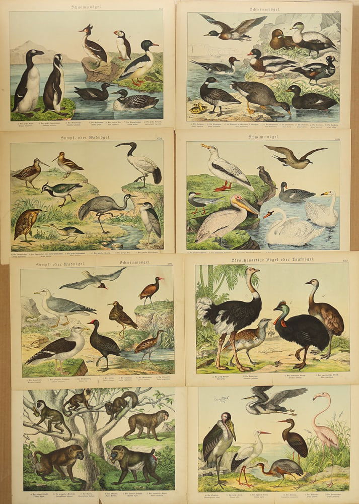 Unknown Artist (Biographical data unknown) - 7