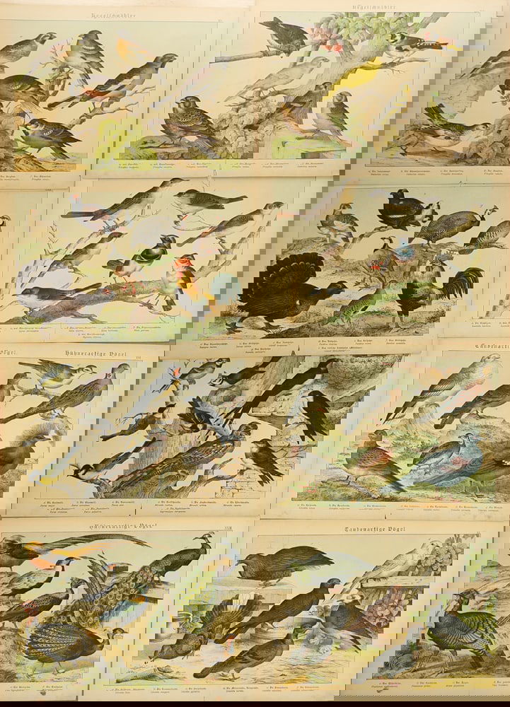 Unknown Artist (Biographical data unknown) - 8