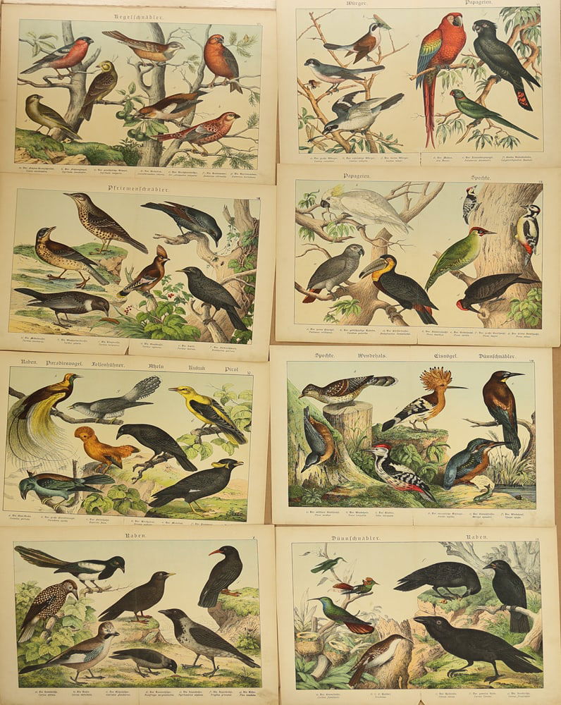 Unknown Artist (Biographical data unknown) - 9