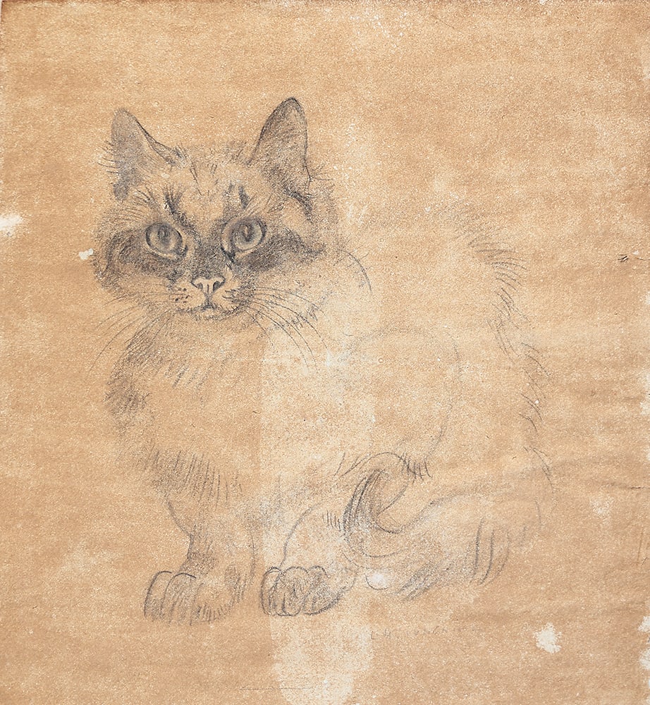 Ludwig Heinrich Jungnickel* (Wunsiedel 1881 - 1965 Vienna): Ludwig Heinrich Jungnickel* (Wunsiedel 1881 - 1965 Vienna) Kitty charcoal/paper 40 x 34,5 cm signed L. H. Jungnickel SCHÄTZPREIS / ESTIMATE € 150 - 200 STARTPREIS