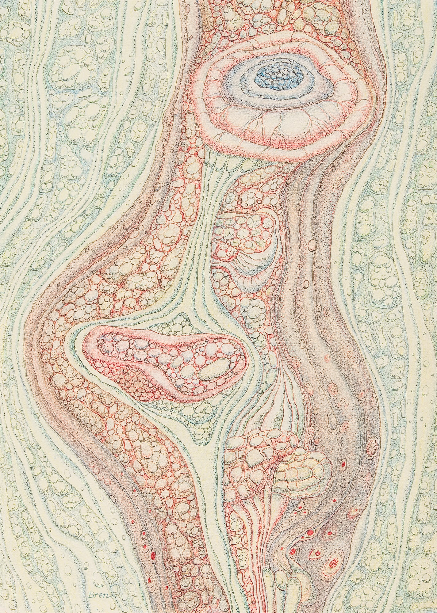 Hans Bren* (Vienna 1900 - 1974 Vienna): Hans Bren* (Vienna 1900 - 1974 Vienna) Anatomy of an eye mixed media/paper 40 x 28,8 cm signed Bren SCHÄTZPREIS / ESTIMATE °€ 150 - 300 STARTPREIS / STA