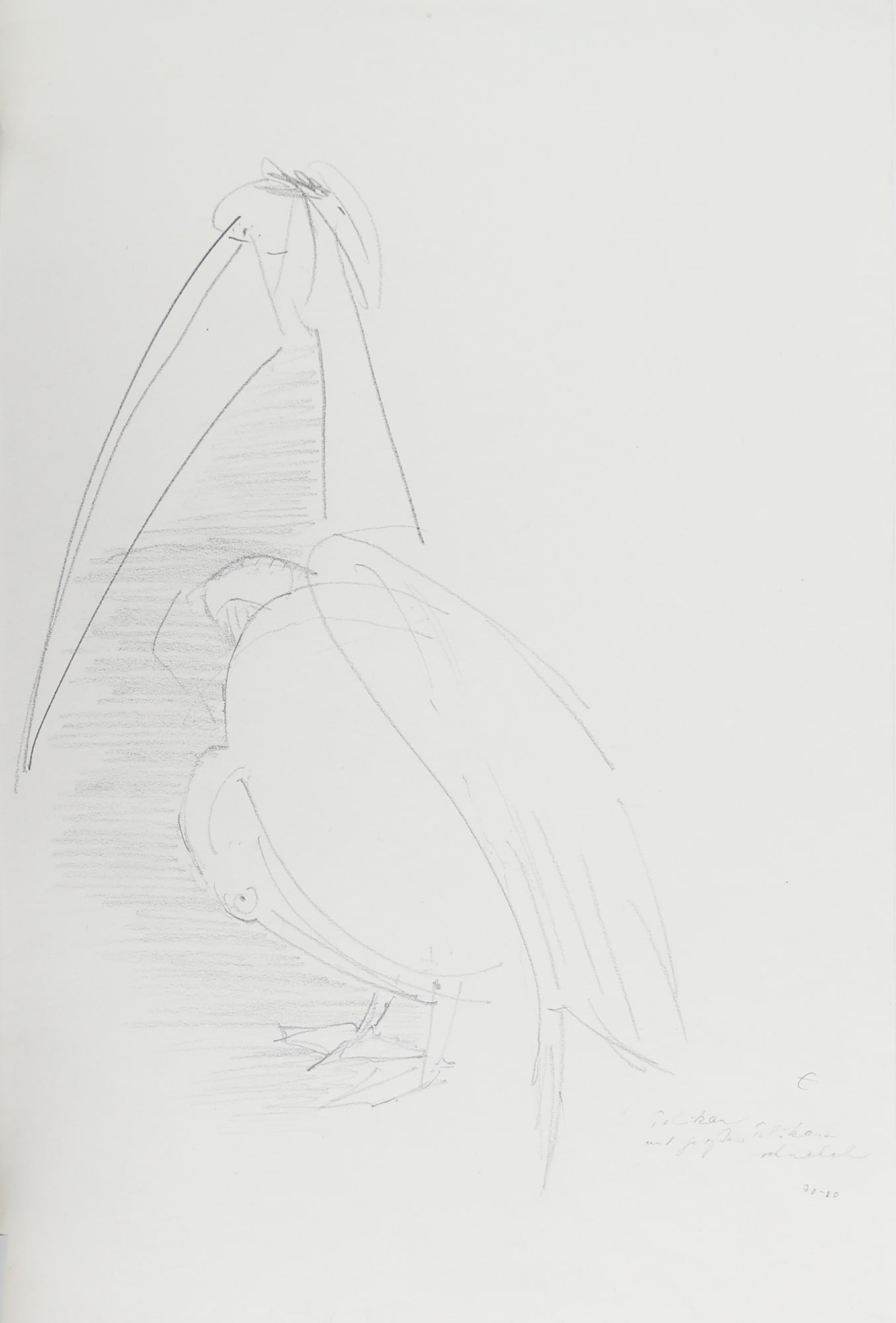 Ursula Einseleit* (Wenzken 1911 - 1997 Mainz): Ursula Einseleit* (Wenzken 1911 - 1997 Mainz) Pelicans pencil/paper 40 x 30 cm SCHÄTZPREIS / ESTIMATE °€ 40 - 60 STARTPREIS / STARTING PRICE °€ 4