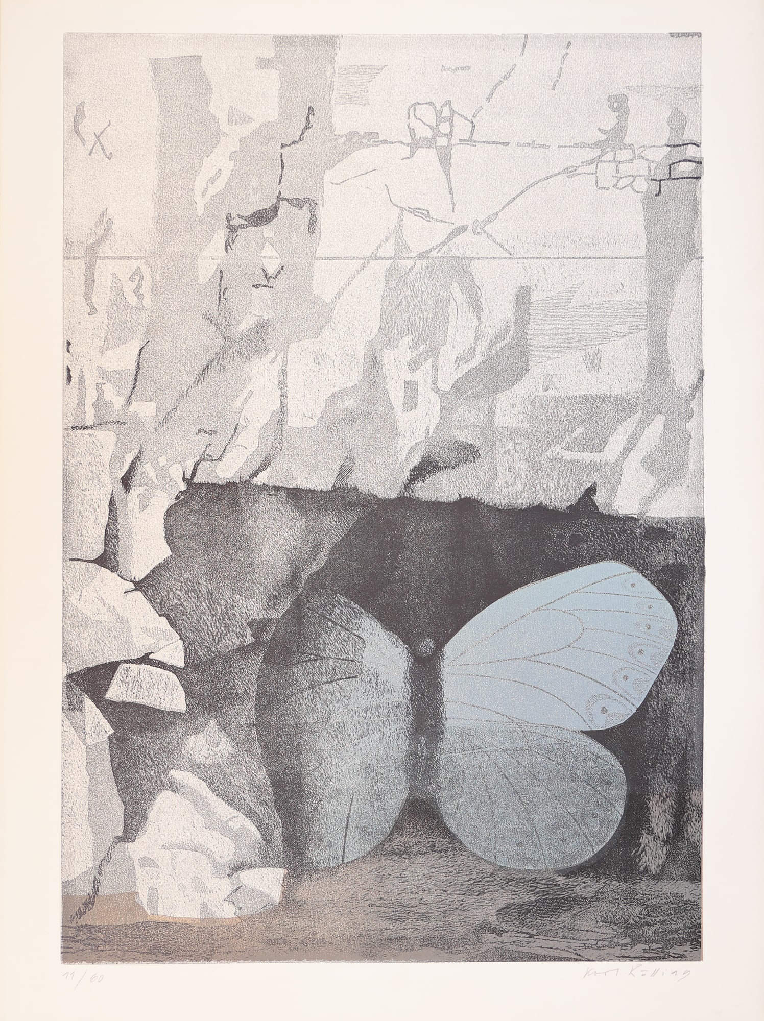 Karl Rössing* (Gmunden 1897 - 1987 Wels): Karl Rössing* (Gmunden 1897 - 1987 Wels) Butterfly lithograph/paper 74 x 50 cm signed Karl Rössing, numbered 11/60 SCHÄTZPREIS / ESTIMATE °€ 60 -