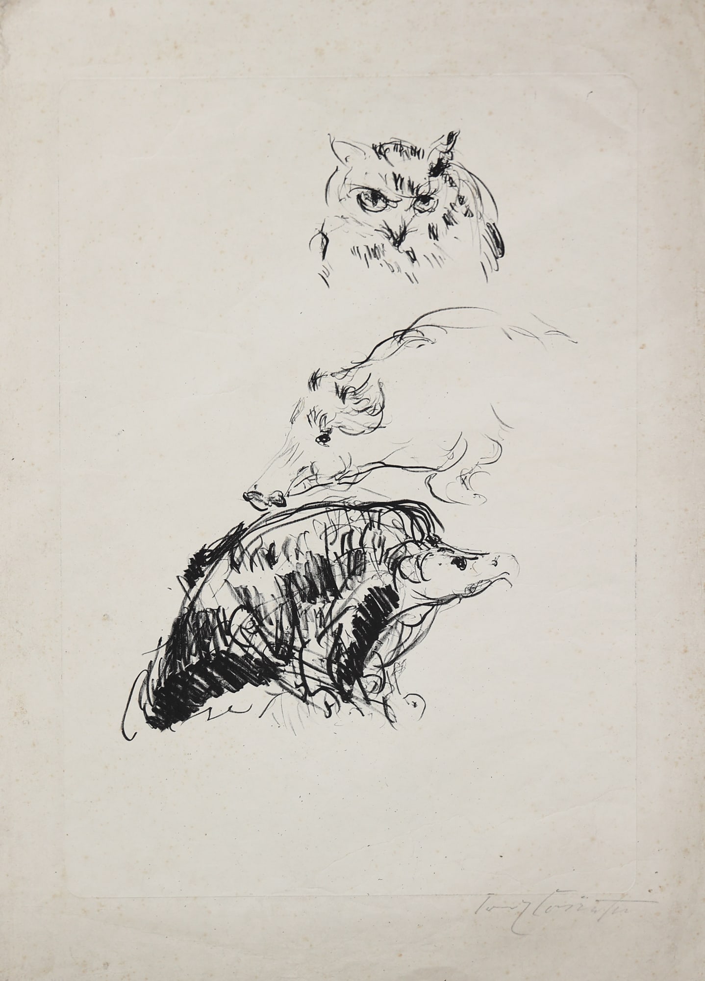 Lovis Corinth (Tapiau 1858 - 1925 Zandvoort) (1 of 1)