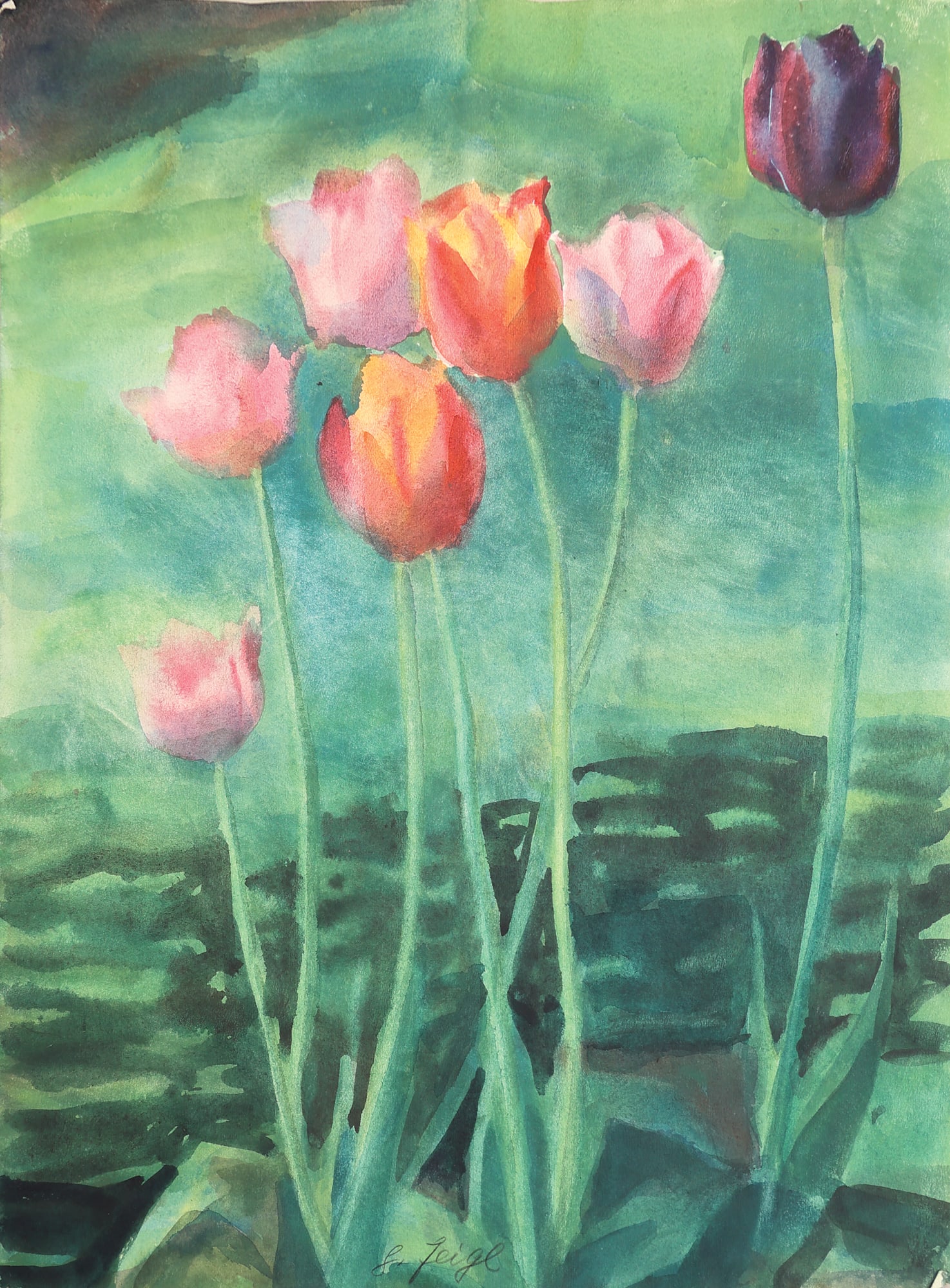 Margarete Johanna Feigl-Zellner* (Gmunden 1900 - 1994 unknown): Margarete Johanna Feigl-Zellner* (Gmunden 1900 - 1994 unknown) Tulips watercolor/paper 48 x 35,5 cm signed G. Feigl SCHÄTZPREIS / ESTIMATE °€ 100 - 200