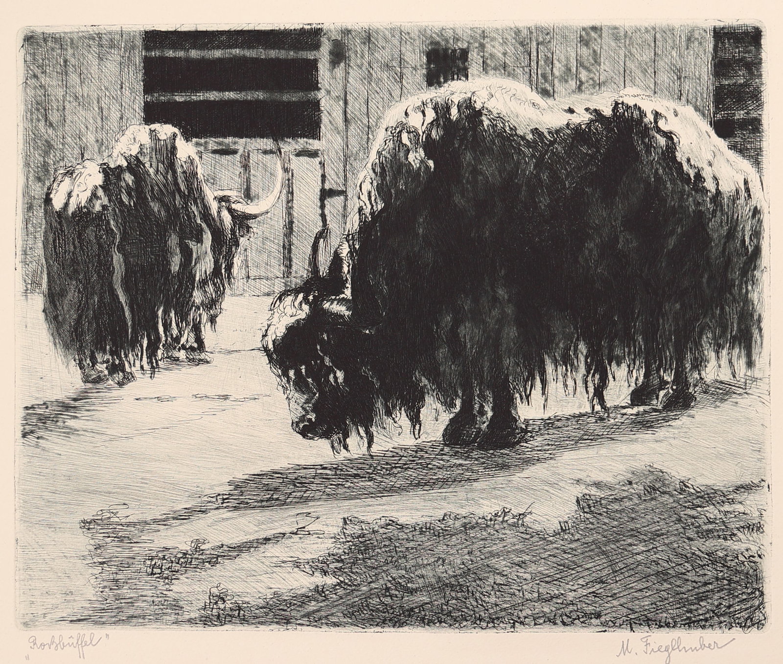 Marianne Fieglhuber-Gutscher* (Vienna 1886 - 1978 Graz): Marianne Fieglhuber-Gutscher* (Vienna 1886 - 1978 Graz) Yaks etching/paper 25 x 29,8 cm signed M. Fieglhuber, inscribed "Rößbüffel" SCHÄTZPREIS / ESTIMA