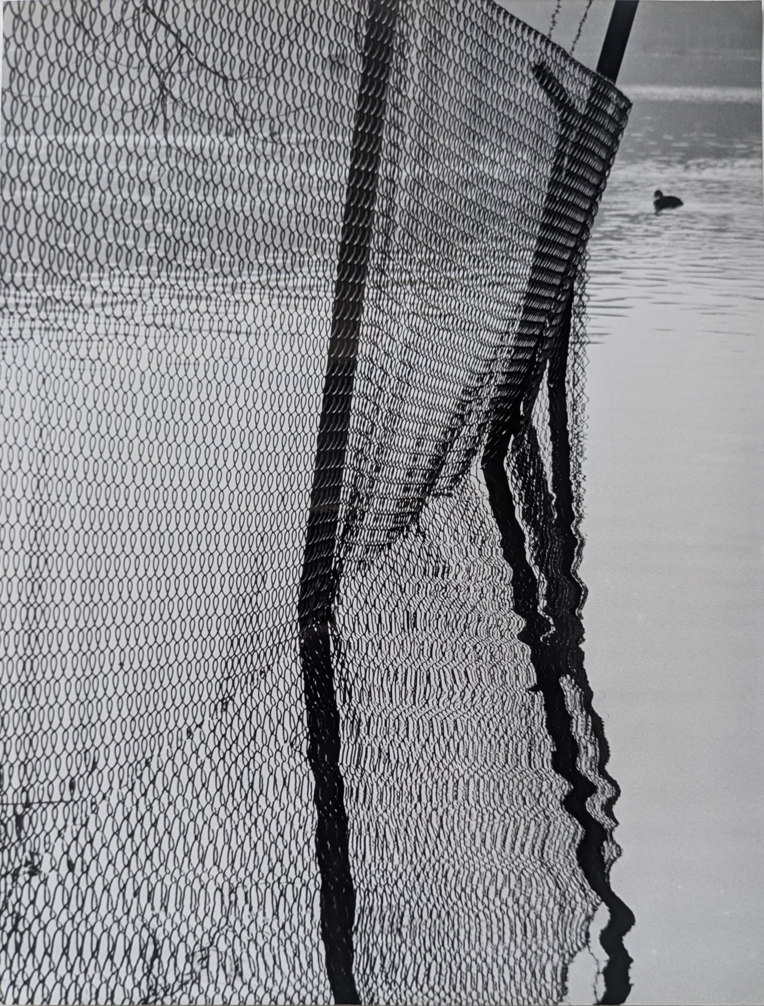 Werner Eckelt* (Berlin 1914 - 1990 Berlin): Werner Eckelt* (Berlin 1914 - 1990 Berlin) Wire Fence at the Inner German Border, ca 1960 gelatin silver print 22,5 x 17,5 cm photographers’s stamp verso, titled and labeled in pencil (Glienicker