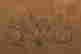 item-133785961=2