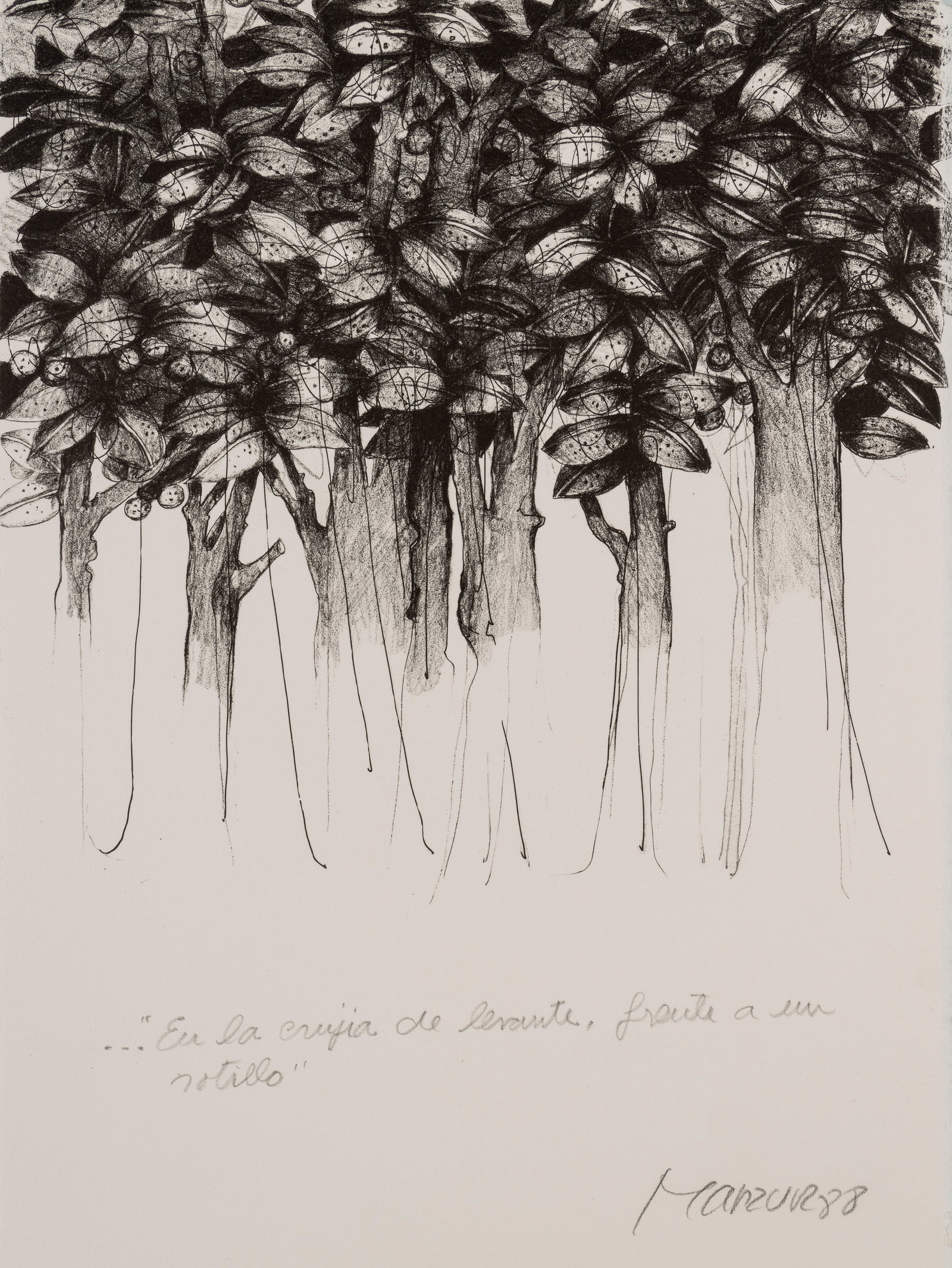 DAVID MANZUR (1929, Colombia) El soto y su donaire, 1988 (1 of 1)