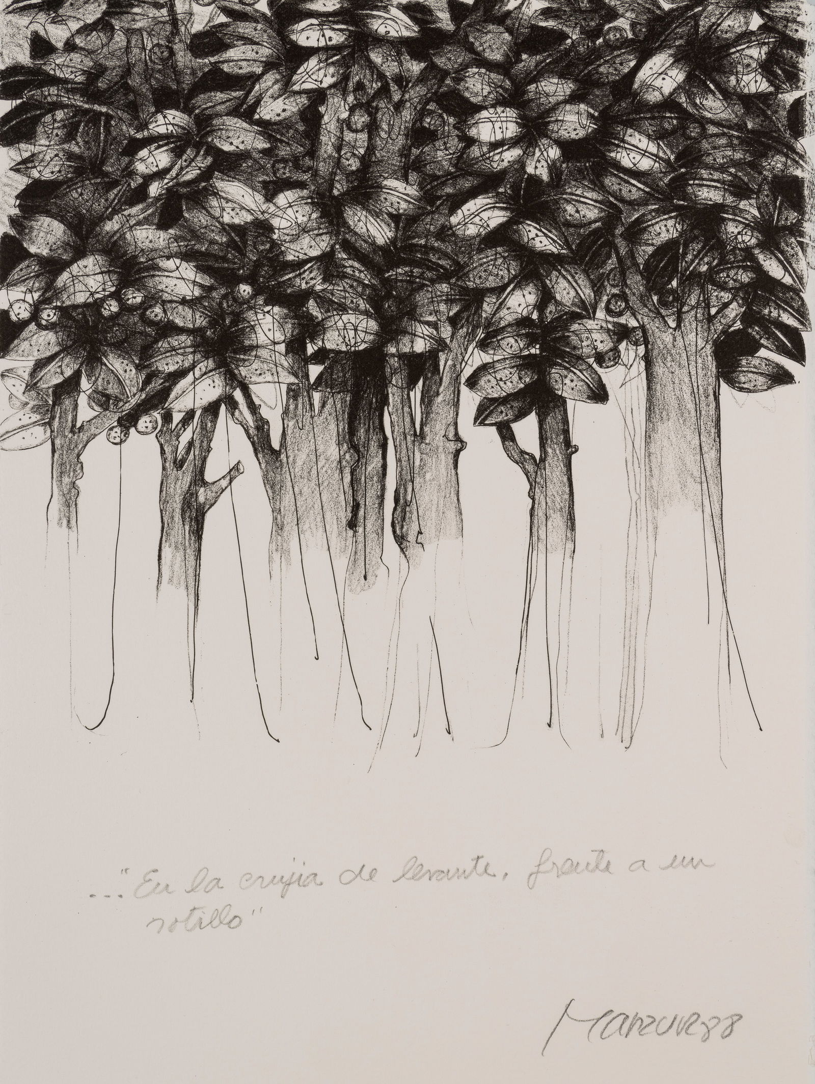 DAVID MANZUR (1929, Colombia) (1 of 1)