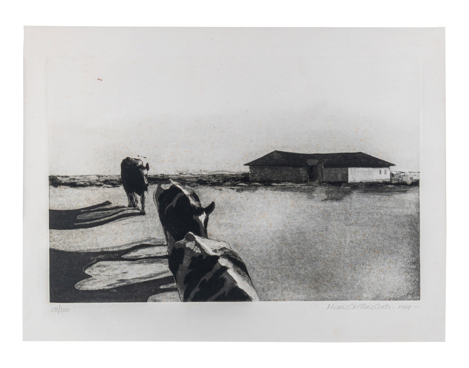 MARIA CRISTINA CORTES (1949, Colombia) Sin Titulo, 1984 Aguafuerte sobre papel Medidas: 41 x 56 cm (1 of 1)