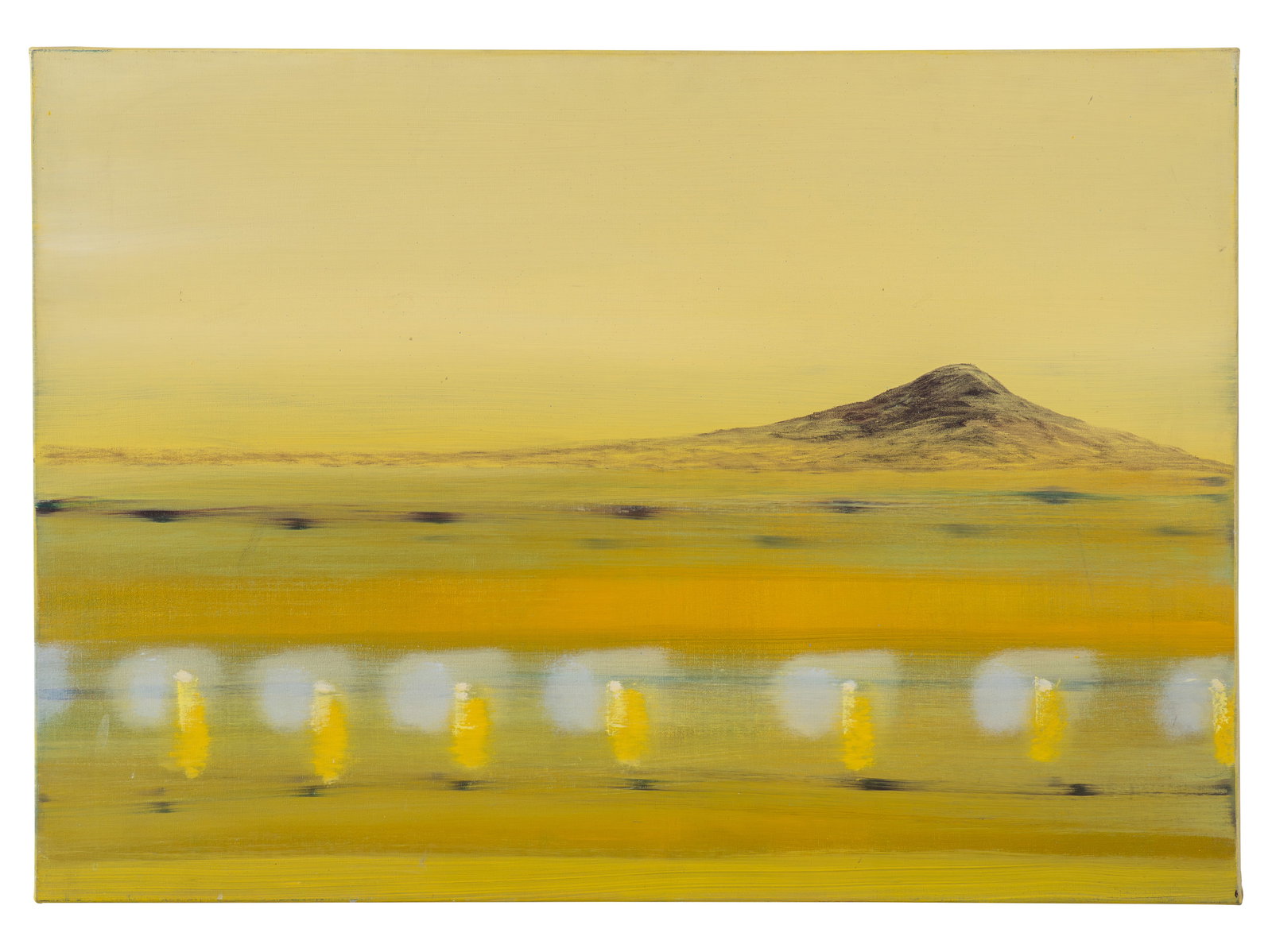 GUILLERMO LONDONO (1962, Colombia) Lo que el ojo no ve, 2017 Oleo sobre lienzo Medidas 60 x 85 cm (1 of 1)