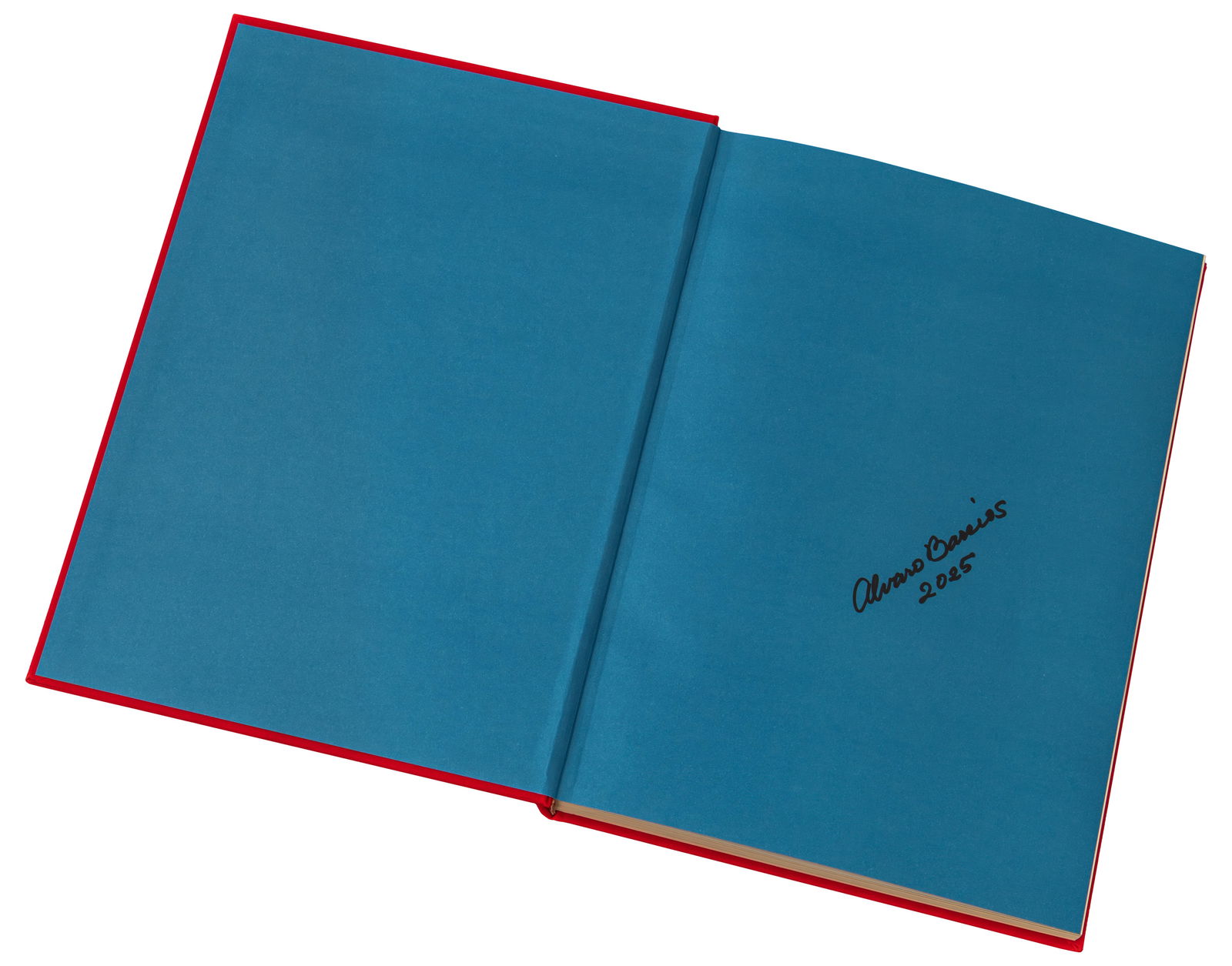 Catalogo de Alvaro Barrios Publicado por Galeria Fernando Pradilla y Galeria El Museo, 2025. Textos (1 of 2)