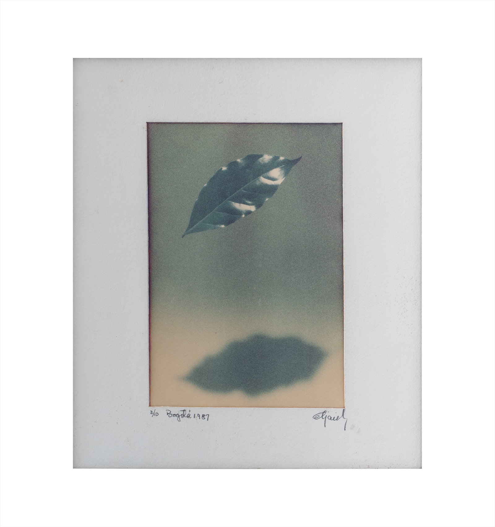 ABDU ELLIJAIEK (1933, Colombia): Sin titulo, 1987Fotografia sobre papel Medidas: 23.5 x 16 cm Edicion 3/10Buen estado de conservacion.Coleccion privada.