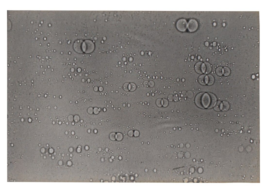 ARTURO HERRERA (1959, Venezuela) (1 of 4)